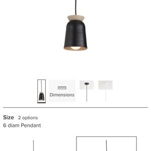 Room and Board Black and Tan Pendant Light